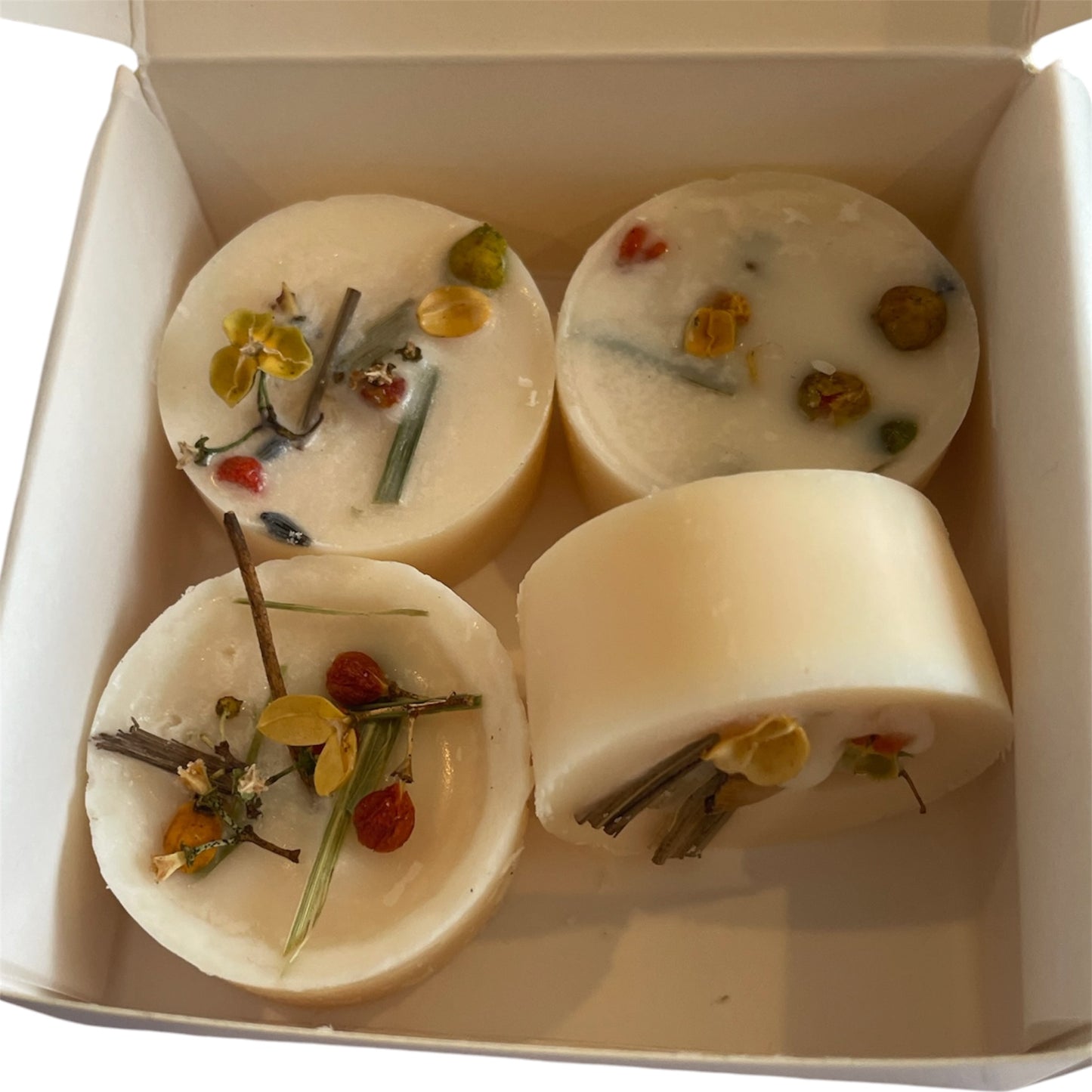 The Botanical Edit-Rocksalt and Driftwood